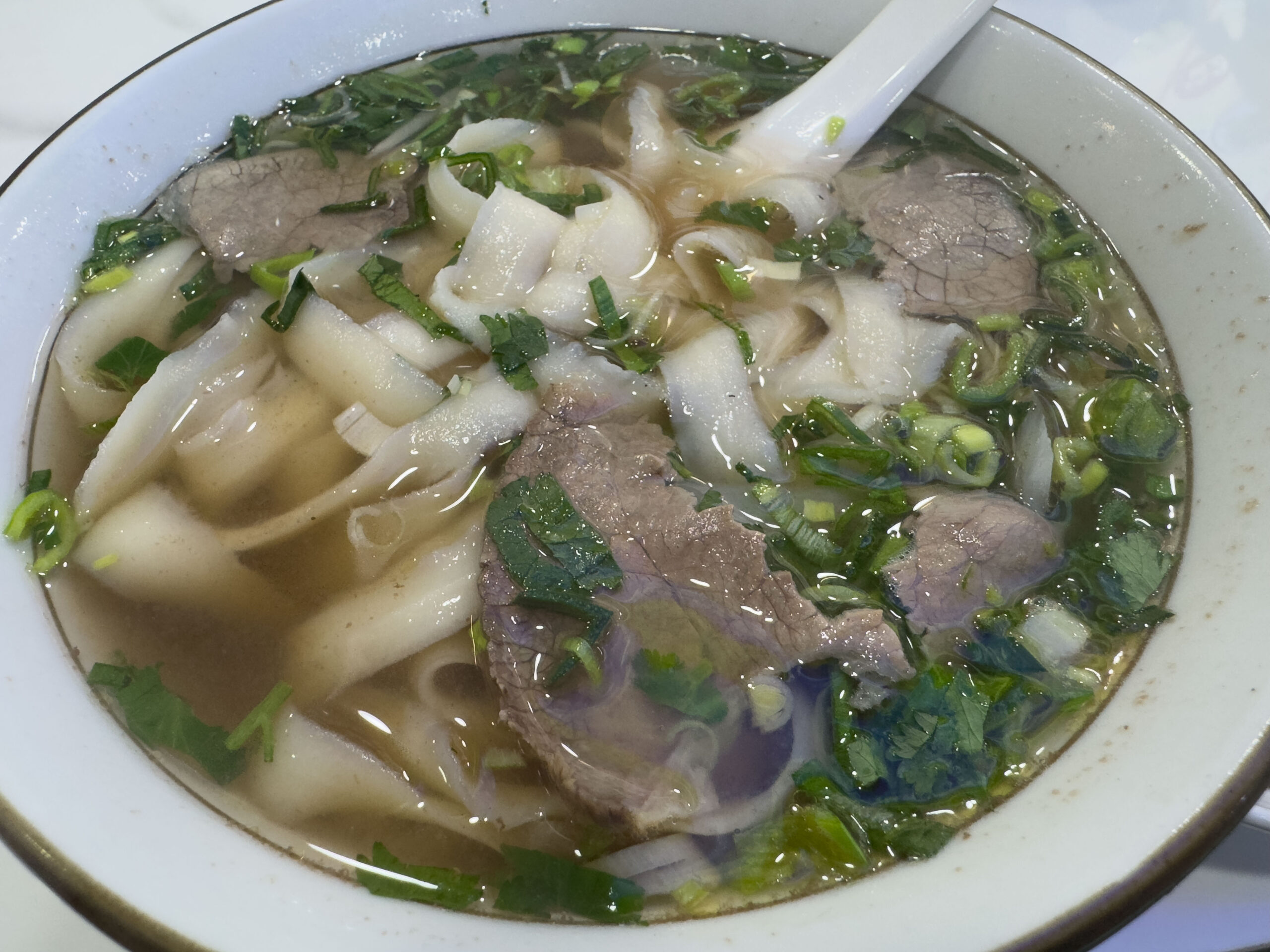 幅広の麺、牛肉、香菜、ねぎが入ったハラールの清湯牛肉麺。澄んでいながら層のあるスープが見える。