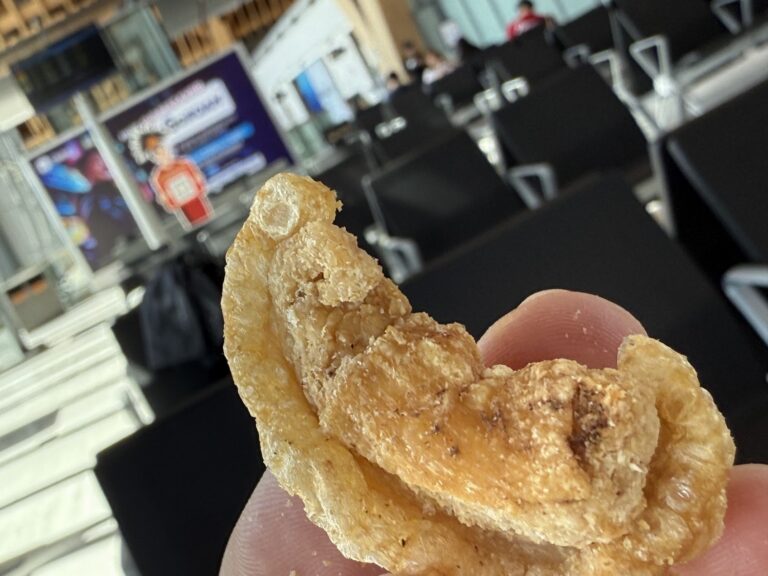 手持宿霧 Carcar chicharon 的近拍，可清楚看見炸豬皮膨起後的孔隙、油脂結構與酥脆質地。