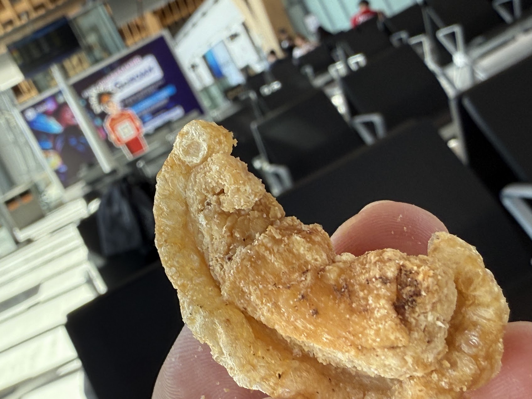 手持宿霧 Carcar chicharon 的近拍，可清楚看見炸豬皮膨起後的孔隙、油脂結構與酥脆質地。