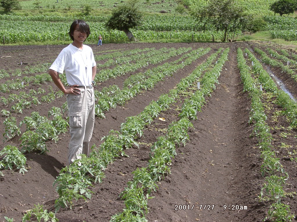 2001年、ニカラグアのトマト畑に立つ周端政。